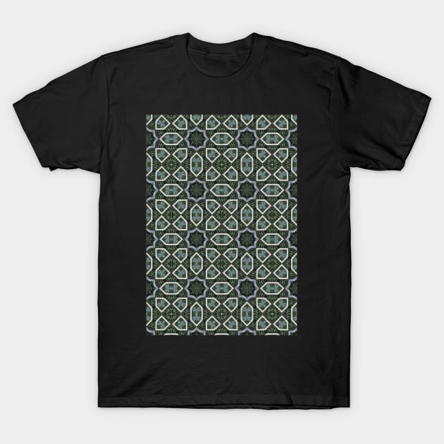 Intricate Windows T-Shirt by Amanda1775